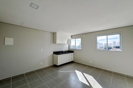 Apartamento para alugar com 1 quarto, 24m² em Belenzinho, São Paulo