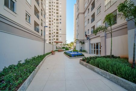 Área comum de apartamento para alugar com 1 quarto, 35m² em Instituto de Previdencia, São Paulo
