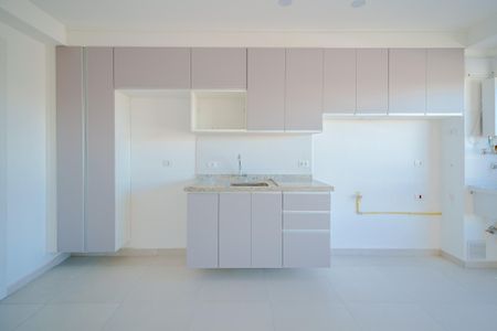 Cozinha de apartamento para alugar com 1 quarto, 35m² em Instituto de Previdencia, São Paulo