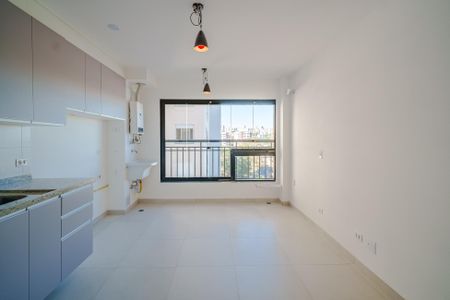 Sala de apartamento para alugar com 1 quarto, 35m² em Instituto de Previdencia, São Paulo
