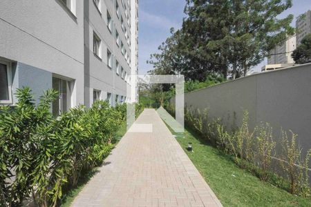 Área comum - Jardim de apartamento à venda com 2 quartos, 35m² em Cidade São Mateus, São Paulo