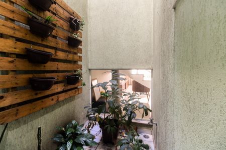 Sala - Jardim de Inverno  de casa à venda com 3 quartos, 120m² em Vila Carrão, São Paulo