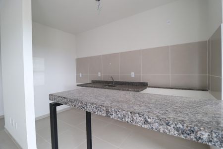Cozinha de apartamento para alugar com 2 quartos, 59m² em Morumbi, Uberlândia