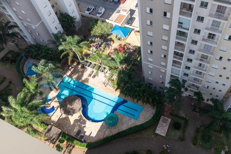 Área comum - Piscina de apartamento à venda com 2 quartos, 60m² em Jardim Santa Eudoxia, Campinas