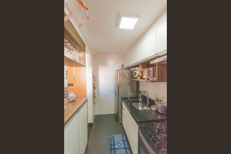 Cozinha de apartamento para alugar com 2 quartos, 48m² em Jardim Anton Von Zuben, Campinas