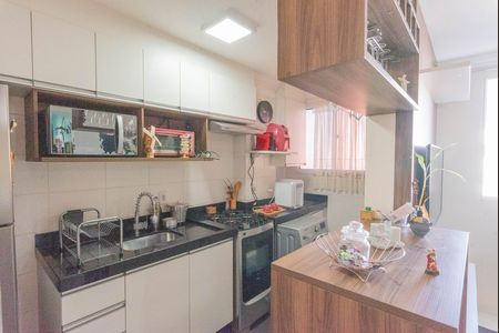 Cozinha de apartamento para alugar com 2 quartos, 48m² em Jardim Anton Von Zuben, Campinas