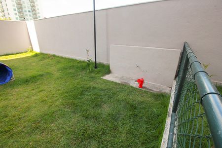 Apartamento para alugar com 37m², 1 quarto e sem vaga Apartamento para alugar com 37m², 1 quarto e sem vagaEspaço Pet