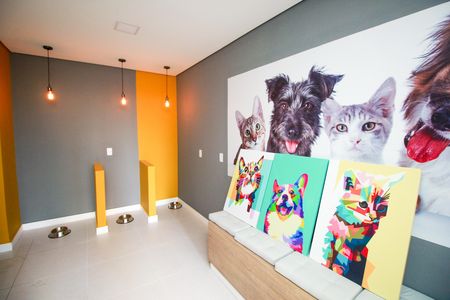 Apartamento para alugar com 37m², 1 quarto e sem vaga Apartamento para alugar com 37m², 1 quarto e sem vagaEspaço Pet