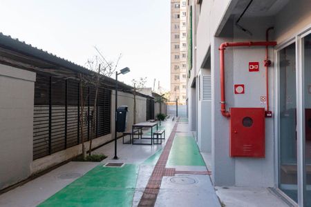 Área comum de apartamento para alugar com 2 quartos, 55m² em Santo Cristo, Rio de Janeiro