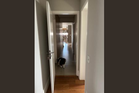 Corredor de apartamento à venda com 3 quartos, 213m² em Cambuí, Campinas