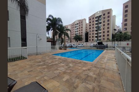 Área comum - Piscina de apartamento para alugar com 2 quartos, 47m² em Parque Bristol, São Paulo