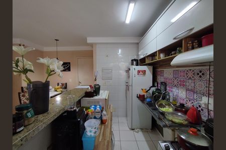 Cozinha - Armários de apartamento para alugar com 2 quartos, 47m² em Parque Bristol, São Paulo