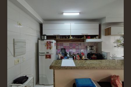 Cozinha - Armários de apartamento para alugar com 2 quartos, 47m² em Parque Bristol, São Paulo