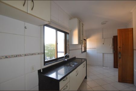 Apartamento à venda com 244m², 3 quartos e 2 vagasCozinha