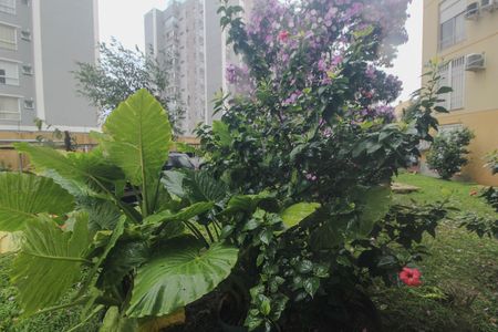 Apartamento para alugar com 76m², 2 quartos e sem vagaVista