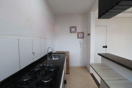 Cozinha  de apartamento para alugar com 2 quartos, 60m² em Parque dos Lagos, Ribeirão Preto