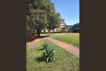 Apartamento à venda com 52m², 2 quartos e 1 vaga Apartamento à venda com 52m², 2 quartos e 1 vagaÁrea Verde