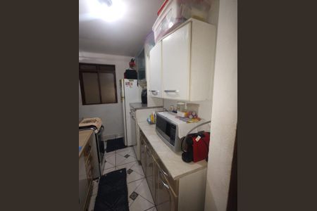 Cozinha de apartamento à venda com 2 quartos, 52m² em Conjunto Habitacional Edivaldo Antônio Orsi, Campinas