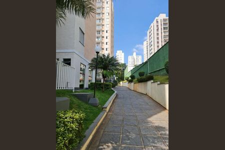Apartamento à venda com 2 quartos, 56m² em Parque Bristol, São Paulo