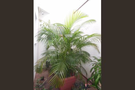 Casa à venda com 3 quartos, 150m² em Jardim das Quatro Marias, São Bernardo do Campo