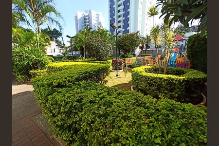 Área comum de apartamento para alugar com 2 quartos, 48m² em Nossa Senhora do O, São Paulo