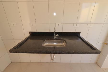 Cozinha - Pia de apartamento para alugar com 2 quartos, 48m² em Parque Industriario, Santo André
