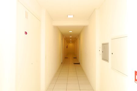 Área comum - Saguão do andar de apartamento para alugar com 2 quartos, 38m² em Jardim Lideranca, São Paulo