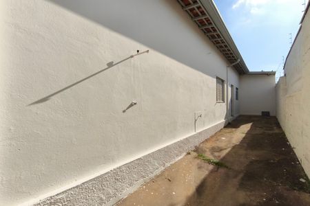 Quintal - Fundos de casa para alugar com 3 quartos, 170m² em Jardim Campos Eliseos, Campinas