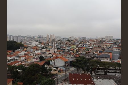 Vista do Quarto 2 de apartamento à venda com 3 quartos, 76m² em Vila Macedópolis, São Paulo