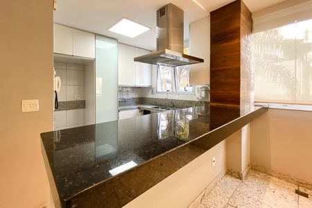 Bancada da Cozinha de apartamento para alugar com 3 quartos, 95m² em Sion, Belo Horizonte