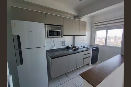 Cozinha de apartamento para alugar com 2 quartos, 66m² em Ponte Preta, Campinas
