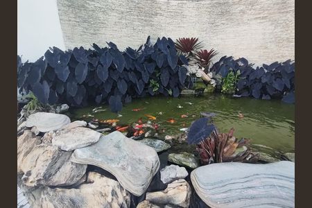 Área externa de apartamento para alugar com 2 quartos, 66m² em Ponte Preta, Campinas