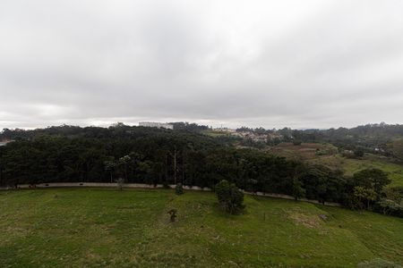 Vista Quarto 2 de apartamento para alugar com 2 quartos, 40m² em Colônia (zona Leste), São Paulo