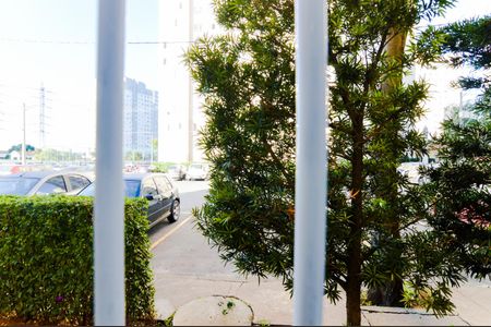 Vista Área de Serviço de apartamento para alugar com 2 quartos, 47m² em Ponte Grande, Guarulhos