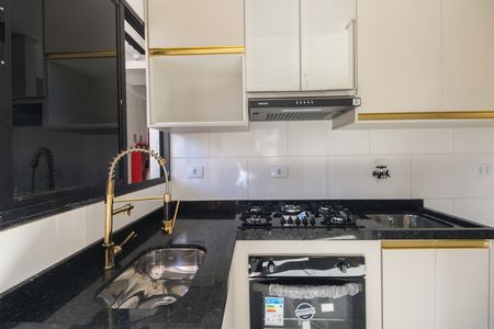 Cozinha  de apartamento para alugar com 2 quartos, 42m² em Chácara Santo Antônio (zona Leste), São Paulo