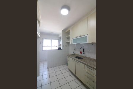 Cozinha  de apartamento para alugar com 2 quartos, 76m² em Jardim das Acacias, São Bernardo do Campo