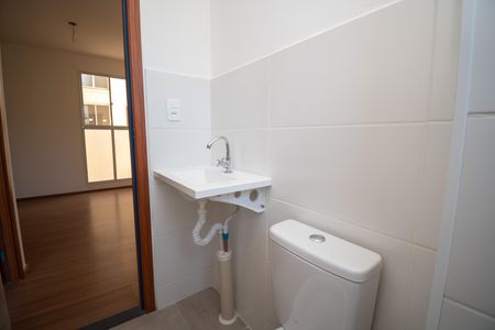 Banheiro de apartamento para alugar com 2 quartos, 55m² em Praia, Contagem