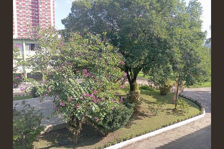 Vista da janela de apartamento para alugar com 3 quartos, 95m² em Barra da Tijuca, Rio de Janeiro