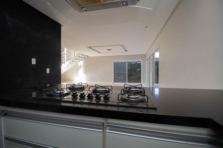 Casa de condomínio para alugar com 485m², 4 quartos e 3 vagas Casa de condomínio para alugar com 485m², 4 quartos e 3 vagasCozinha