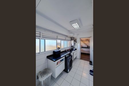 Área de Serviço de apartamento para alugar com 4 quartos, 240m² em Ipiranga, São Paulo