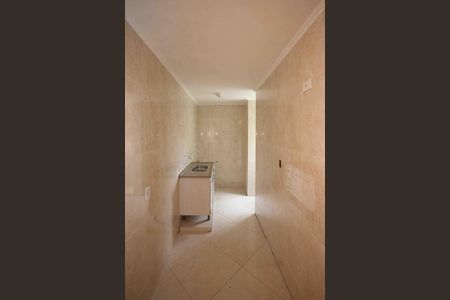 Cozinha de apartamento para alugar com 2 quartos, 47m² em Jardim Paraguacu, São Paulo
