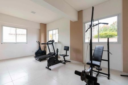 Área Comum - Academia  de casa à venda com 2 quartos, 48m² em Jardim Matarazzo, São Paulo