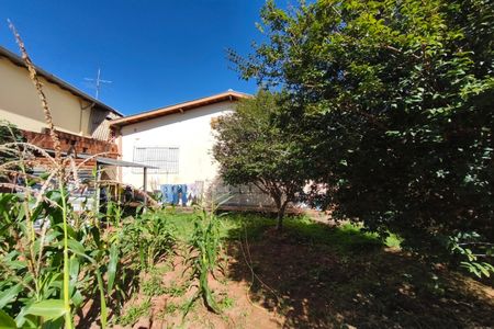 Quintal - Jardim de casa à venda com 3 quartos, 80m² em Jardim São Pedro, Campinas