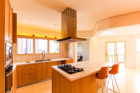 Apartamento à venda com 254m², 3 quartos e 5 vagas Apartamento à venda com 254m², 3 quartos e 5 vagasCozinha
