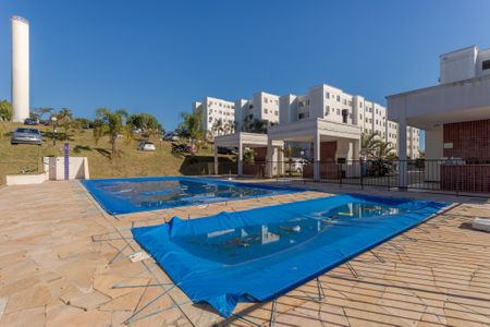 Área comum - Piscina de apartamento para alugar com 2 quartos, 43m² em Jardim Dona Leopoldina, Porto Alegre