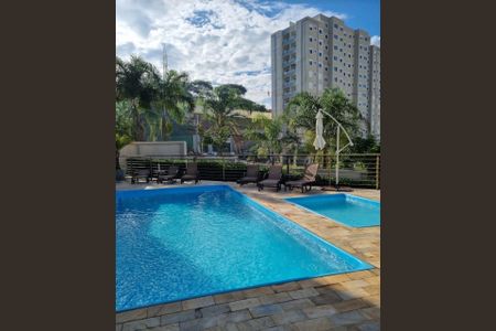 Piscina de apartamento à venda com 3 quartos, 75m² em Buritis, Belo Horizonte