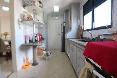 Cozinha de apartamento para alugar com 3 quartos, 89m² em Vila Formosa, São Paulo