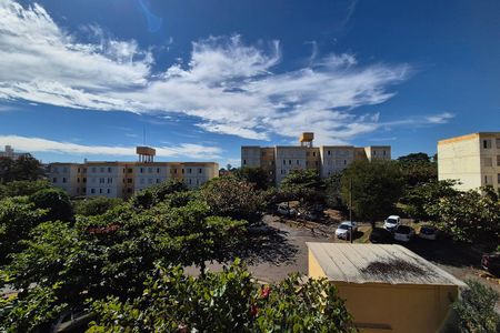 Apartamento para alugar com 66m², 3 quartos e 2 vagas Apartamento para alugar com 66m², 3 quartos e 2 vagasVista do Quarto 2