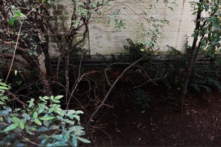 Apartamento para alugar com 65m², 2 quartos e 1 vaga Apartamento para alugar com 65m², 2 quartos e 1 vagaDetalhe - Vista do Quarto 01