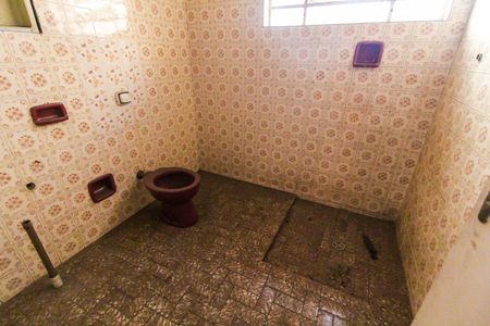 Banheiro 1 de casa à venda com 3 quartos, 250m² em Jardim Itapemirim, São Paulo